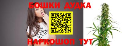 прущие крисы Кандалакша
