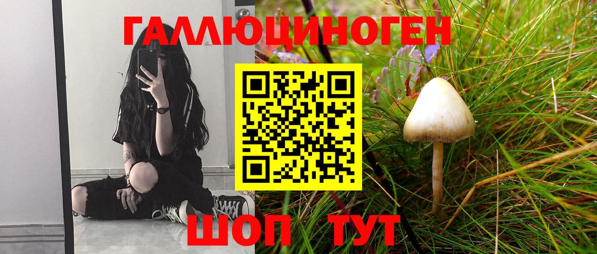 Коммунар  Галлюциногенные грибы Cubensis  Вход с VPN 